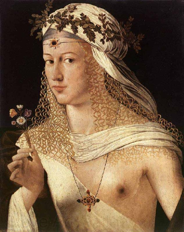 BARTOLOMEO VENETO Portrait of a Woman Germany oil painting art